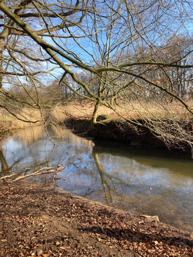 Ferienwohnung Am Waldrand Mit Sauna Biendorf Zewnętrze zdjęcie